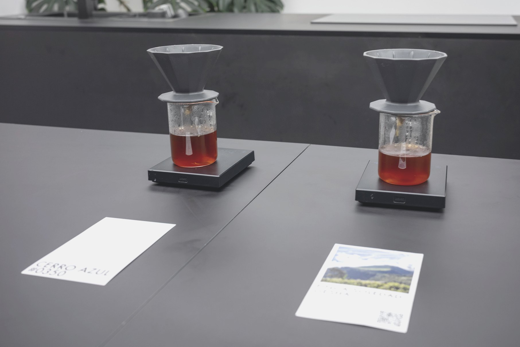 Two pour-overs brewed side by side, each on its own scale, each with its lot card